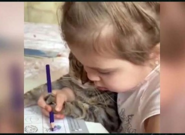 بچی کی پالتو بلی کو تصویر میں رنگ بھروانے کی ویڈیو وائرل
